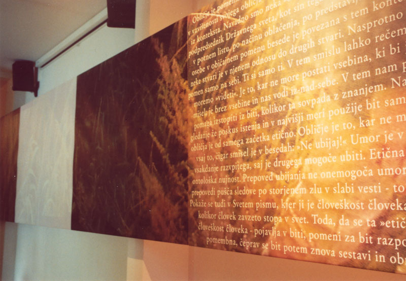 10board_text