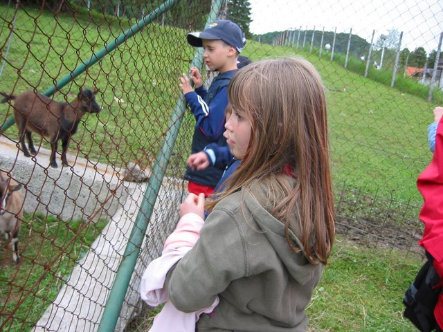 327_2718.JPG