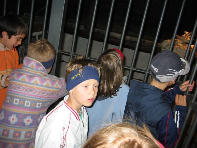 326_2622.JPG