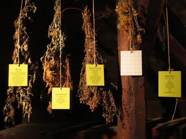 326_2624.JPG