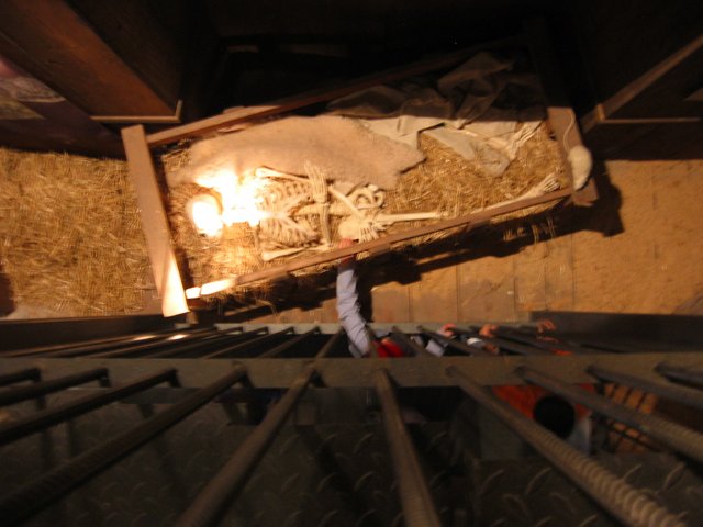326_2625.JPG