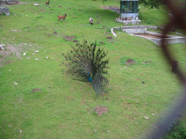 327_2702.JPG
