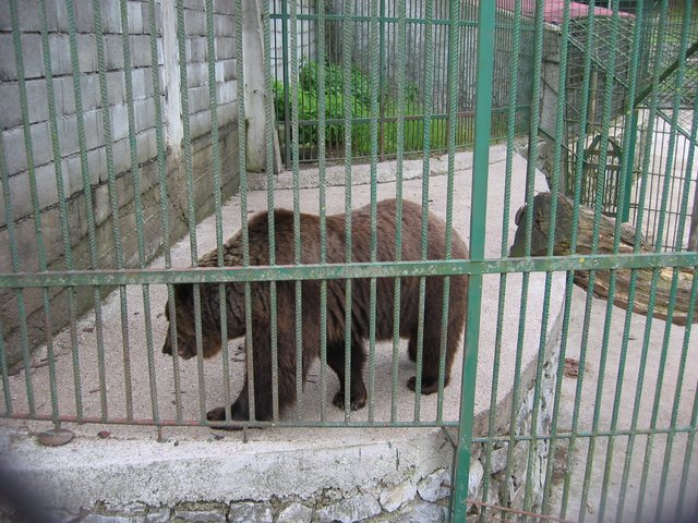 327_2703.JPG