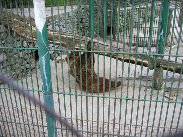 327_2705.JPG