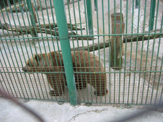 327_2708.JPG