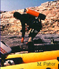 wpe8.jpg (12685 bytes)