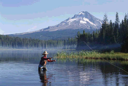 zrak3.2.jpg (20060 bytes)