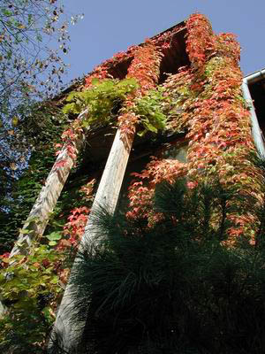 hi&scaron;a jeseni povečava