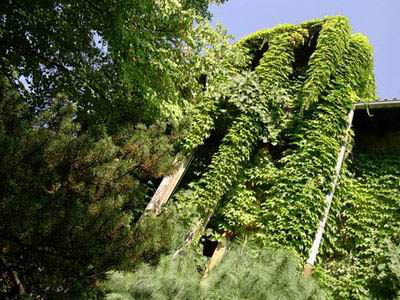 hi&scaron;a pomladi povečava