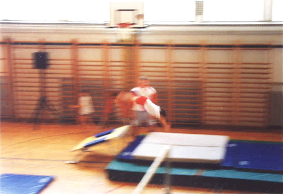 Gimnastika  skok na pro�ni ponjavi