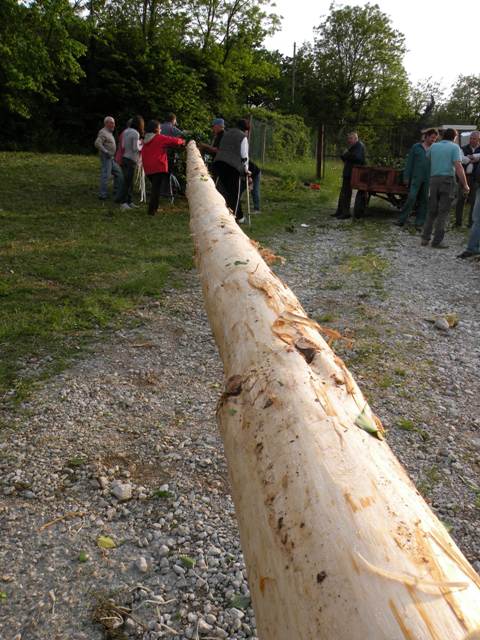 Mlaj �igoni 09