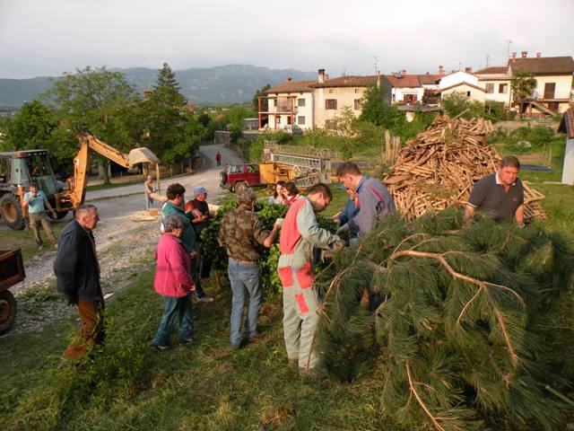 Mlaj �igoni 2009