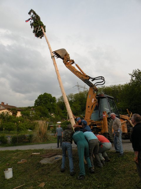 mlaj �igoni 2009