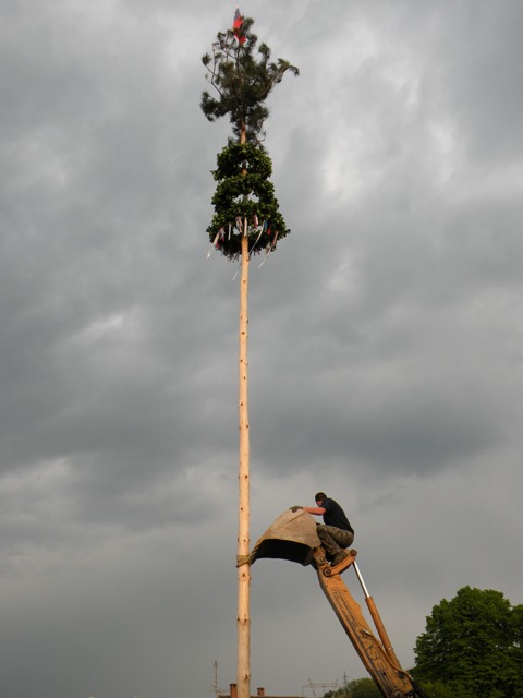 Mlaj �igoni 2009