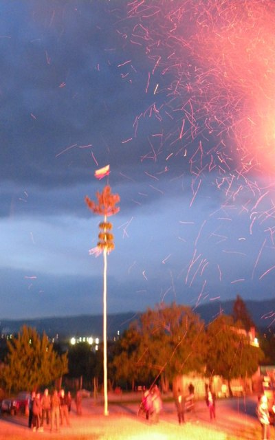mlaj �igoni 2009