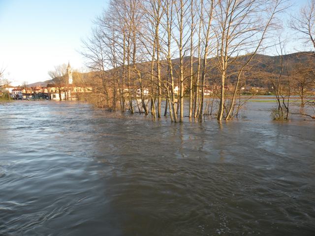 poplave