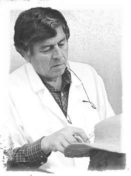 Miha Ka�