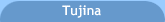 Tujina