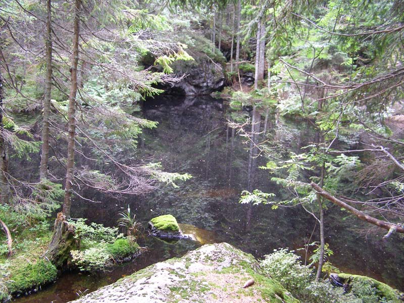 P1013269