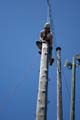 Adrenalinski_park_29