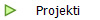 Projekti