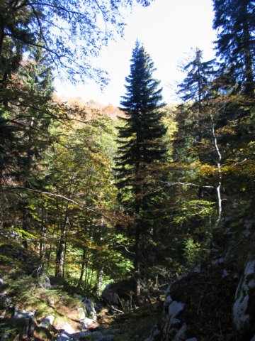 img_8661.jpg