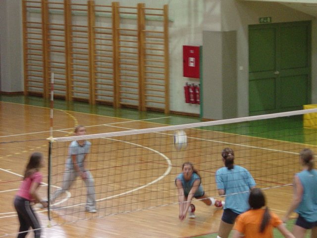 dsc00090.jpg