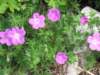 img_3280_small.jpg