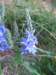 img_3288_small.jpg