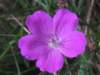 img_3293_small.jpg