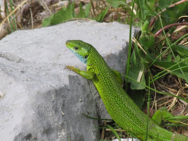 img_5326.jpg