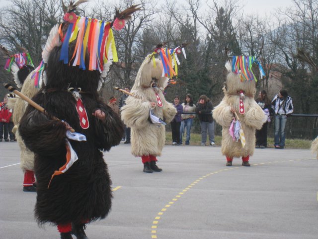 img_8602.jpg