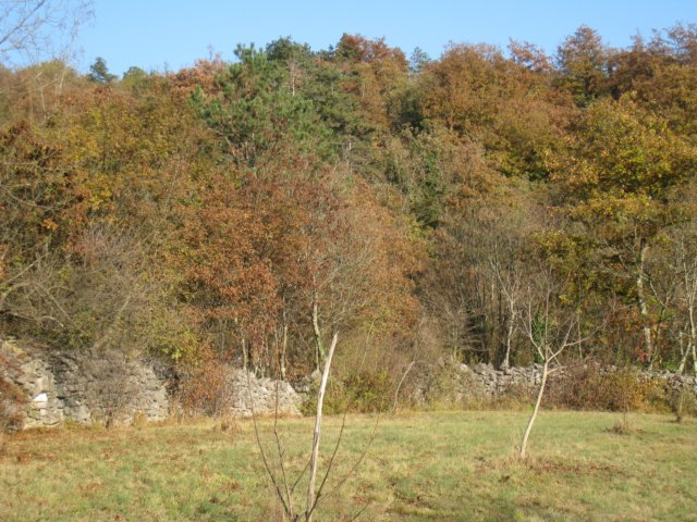 img_4814.jpg