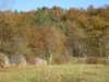 img_4814_small.jpg