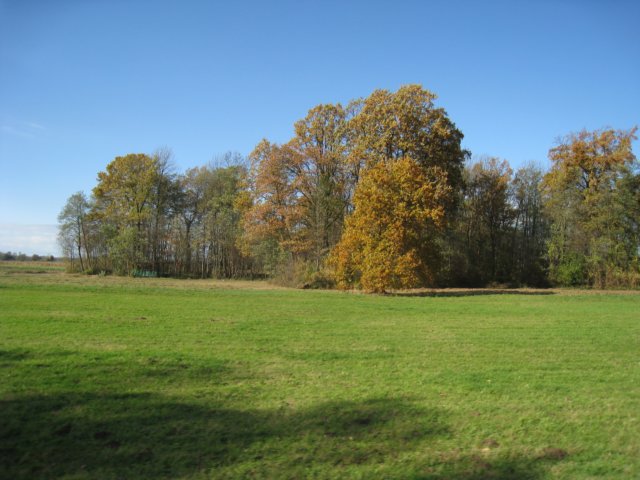 img_5010.jpg