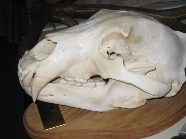 pc200841.jpg