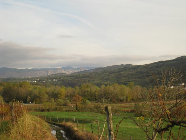 std_5683.jpg