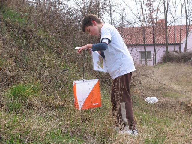 img_4596.jpg