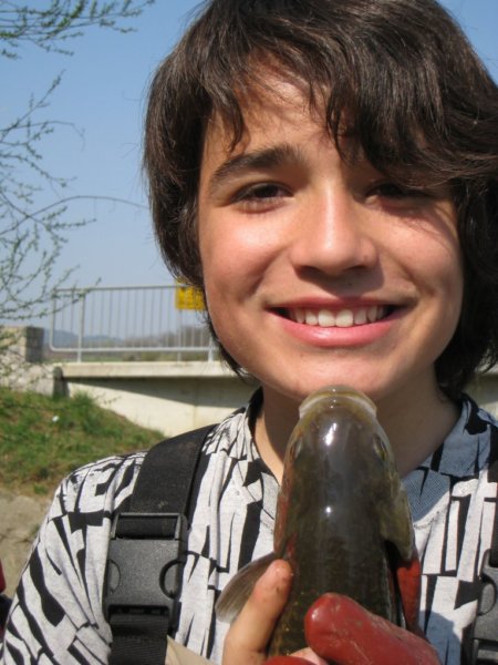 img_1378.jpg