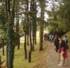 dsc01447_small.jpg