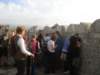 dsc01470_small.jpg