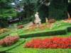 dsc01523_small.jpg