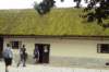dsc01345_small.jpg