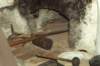 dsc01349_small.jpg