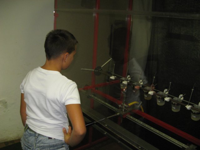 img_0006.jpg