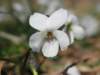 img_6372_small.jpg