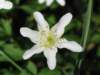 img_6844_small.jpg