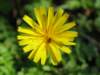 img_6862_small.jpg