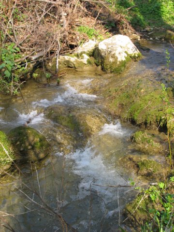 img_6880.jpg