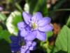 img_6884_small.jpg